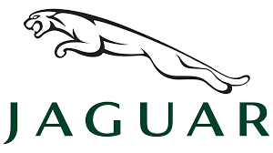 Jaguar Tpms Lastik Basınç Sensörleri